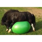 Horse Toy Ball Manufacturer - OEM/ODM Custom Feeder Ball