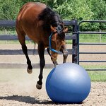 Horse Toy Ball Manufacturer - OEM/ODM Custom Feeder Ball