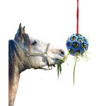 Horse Feeder Toy Manufacturer - Slow Feed Ball for Goat Sheep