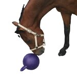 Horse Play Ball Factory - OEM Custom Apple Flavor Toy Ball