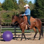Horse Toy Ball Manufacturer - OEM/ODM Custom Feeder Ball