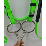 Horse Bridle Manufacturer - Adjustable PVC Riding Bridle