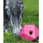 Horse Feeder Ball Manufacturer - Custom Equestrian Toy Ball