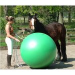 Horse Toy Ball Factory - OEM Anti-burst Design Wholesale
