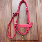 Donkey Bridle Factory - Cotton Webbing Halter Supplier