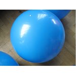 Horse Toy Ball Factory - Bulk 100cm(40Inch) Training Ball