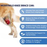 Pet Grooming Hair Bows Manufacturer - Mix Colours Decorate Rubber Bands