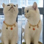 Dog Collar Factory - Customized Pink PU Leather Rhinestone Jewels