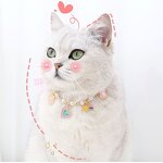 Pet Accessories Manufacturer - Cute Cat Dog Pearl Bow Ties Jeweled