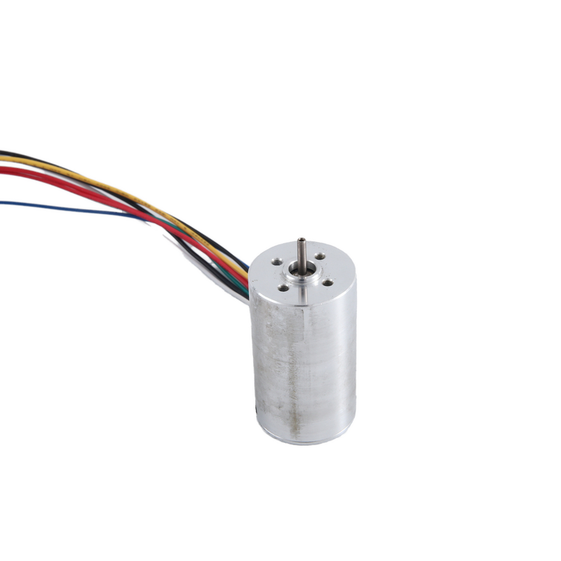 Brushless DC Motor Factory - 28mm 13W 6000rpm Portable