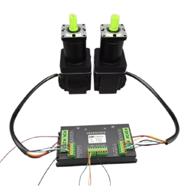 Motor Controller Manufacturer - 2000W Dual Channel 72V Driver