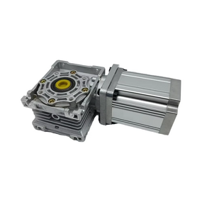 Worm Gear Motor Factory - 750W 48V RV for Electric Vehicle