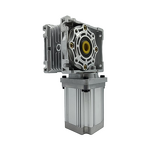 Worm Gear Motor Factory - 750W 48V RV for Electric Vehicle