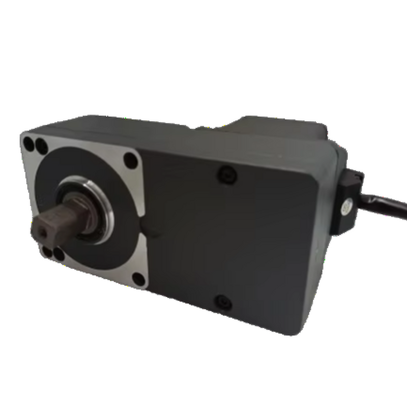 Gear Motor Manufacturer - 80mm 116W Low Noise for Automatic Door