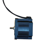 Air Purifier Motor Factory - 110mm 1300W 310V BLDC OEM