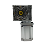 Worm Gear Motor Factory - 750W 48V RV for Electric Vehicle