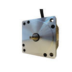 Air Purifier Motor Factory - 110mm 1300W 310V BLDC OEM