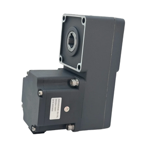 Gear Motor Factory - 1000W L-Shaped Gearbox 24V OEM