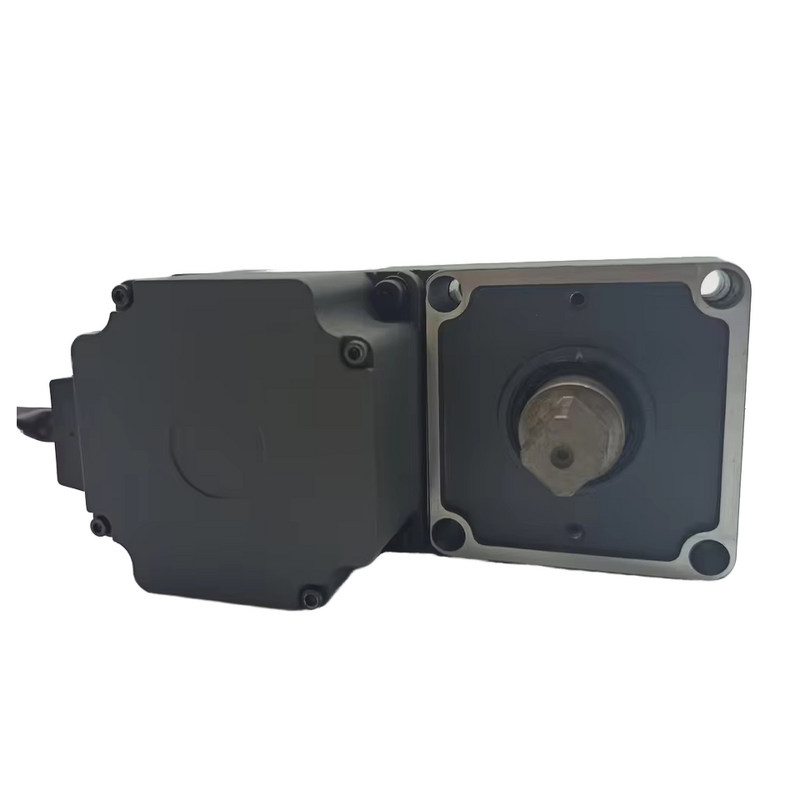 Gear Motor Factory - 80mm Double Shaft 60W for Automatic Door