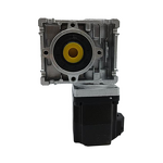 Worm Gear Motor Manufacturer - 400W 24V Self-locking for Mower