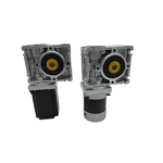 Worm Gear Motor Manufacturer - 400W 24V Self-locking for Mower