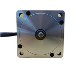 Air Purifier Motor Factory - 110mm 1300W 310V BLDC OEM