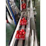 Packaging Machine Manufacturer - Cherry Tomato Multihead Weigher