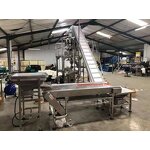 Multihead Weigher Factory - Automatic Cherry Tomato Packing