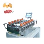 Combination Weigher Manufacturer - Multi Head Belt Conveyor