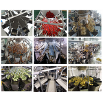 Multihead Weigher Manufacturer - 10/14 Head Combination Scale
