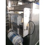 Packaging Machine Manufacturer - Single Clove Garlic Pillow Bag