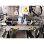 Packaging Machine Manufacturer - Single Clove Garlic Pillow Bag