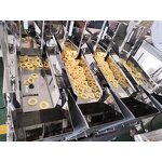 Linear Weigher Factory - 2/4 Head Grain Weighing Packing
