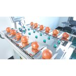 Combination Weigher Supplier - Manual Fruit Check Weigher