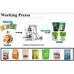 Packaging Machine Factory - Fully Auto Zipper Bag Beef Jerky