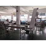 Packaging Machine Factory - Automatic Cherry Tomatoes Packing
