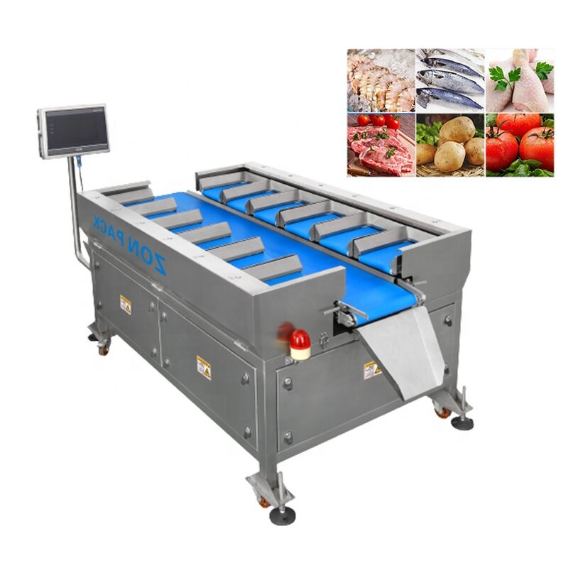 Combination Weigher Manufacturer - Multi Head Belt Conveyor