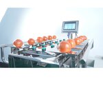 Combination Weigher Supplier - Manual Fruit Check Weigher