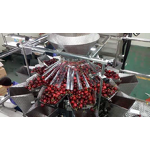 Packaging Machine Manufacturer - Cherry Tomato Multihead Weigher