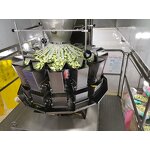 Multihead Weigher Factory - 14 Head Frozen Strawberry Weigher