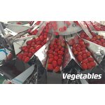 Multihead Weigher Factory - Automatic 10 Head for Snacks Fruits