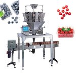 Packaging Machine Factory - High Speed Cherry Tomato Punnet