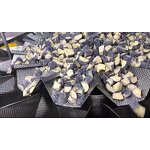 Combination Scale Factory - 14 Head Punnet Filling Packing