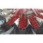 Packaging Machine Supplier - Automatic Fruit Vegetable Weighing