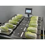 Combination Weigher Factory - Manual for Fruits Grape Tomato