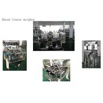 Linear Weigher Manufacturer - 2 Head with Pouch Packaging