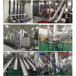 Conveyor System Manufacturer - Horizontal Vertical Food Grade