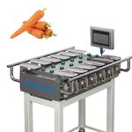 Combination Weigher Manufacturer - Multi Head Belt Conveyor