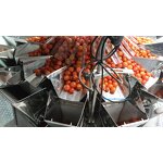 Multihead Weigher Factory - Automatic Cherry Tomato Packing