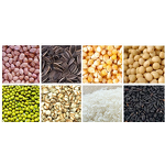 Linear Weigher Supplier - 2/4 Head 50g-1000g Weighing Machine